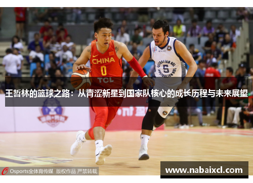 王哲林的篮球之路：从青涩新星到国家队核心的成长历程与未来展望
